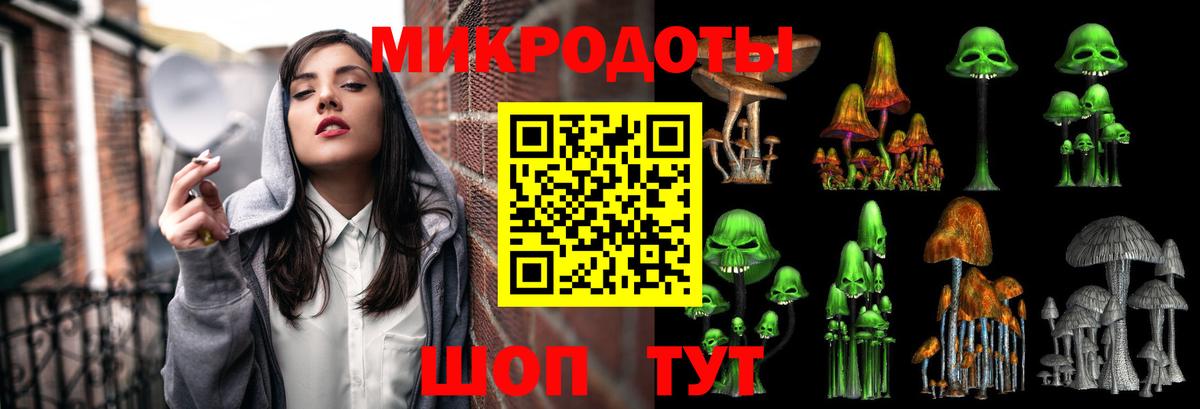 Псилоцибиновые грибы GOLDEN TEACHER Чайковский